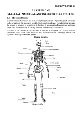 Biology Form 3 (Last revised).pdf